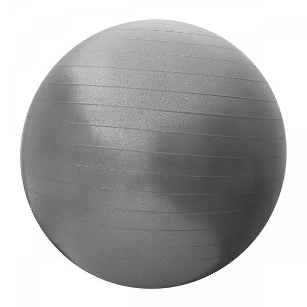 Мяч для фитнеса (фитбол) SportVida 65 см Anti-Burst SV-HK0288 Grey S49-2290