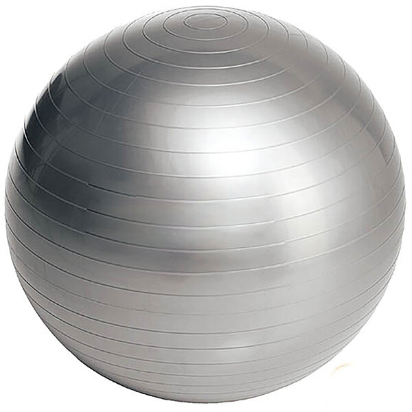 Мяч для фитнеса EasyFit 65 см серый S53-1464